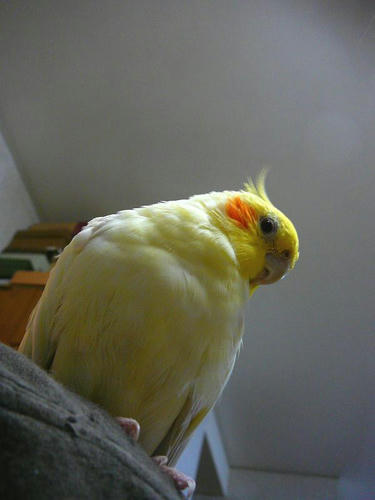 070907-90.jpg