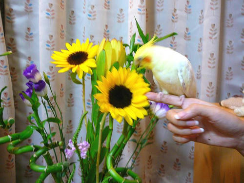 070910-90.jpg