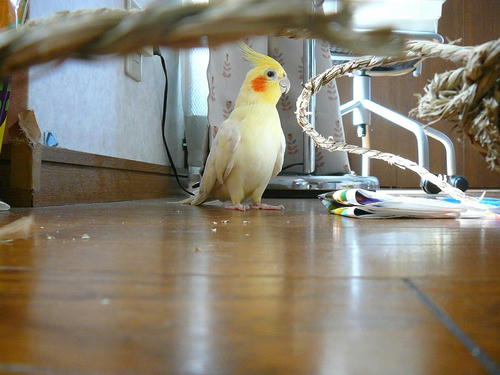070924-80.jpg