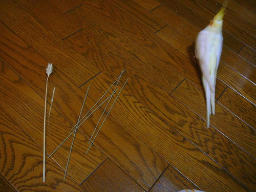 070924-50.jpg