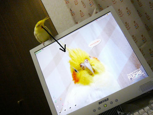 070928-90.jpg