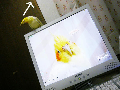 070928-80.jpg