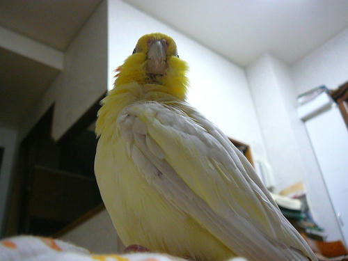 071001-90.jpg