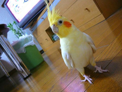 071001-70.jpg