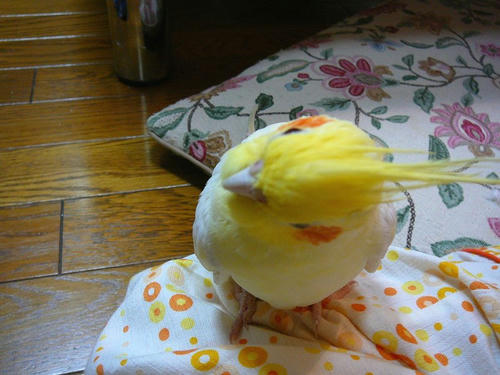 071001-60.jpg