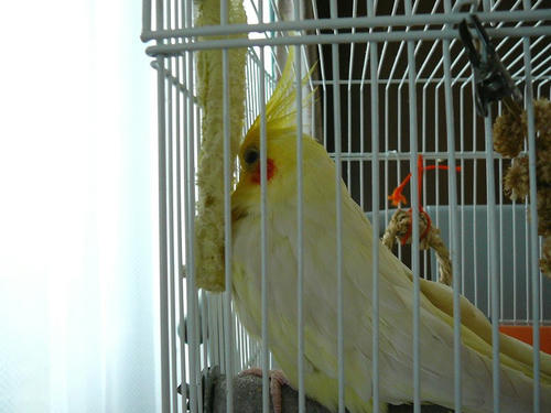 071002-80.jpg