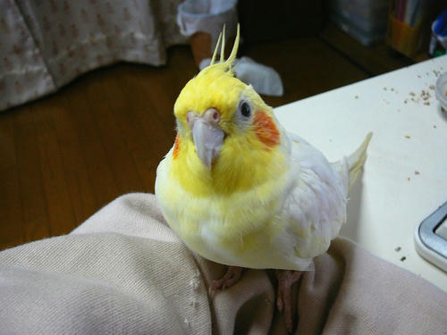 071002-50.jpg