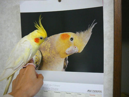 071003-90.jpg