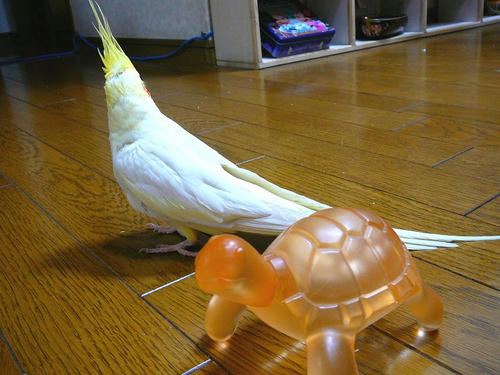071008-90.jpg