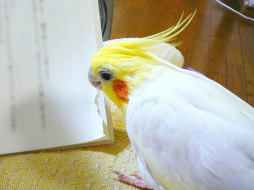 071008-70.jpg