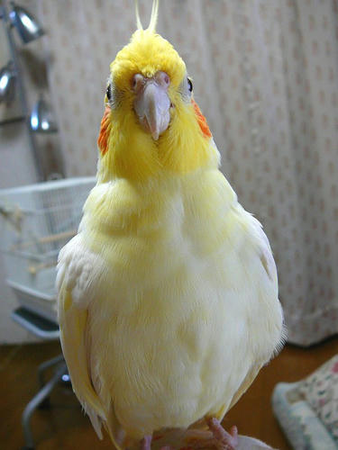 071008-60.jpg