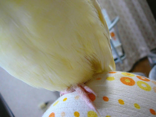 071012-10.jpg