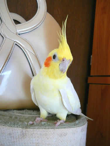 071017-90.jpg