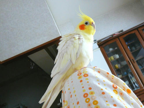 071018-90.jpg