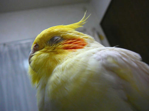 071105-60.jpg