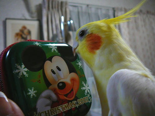 071105-50.jpg