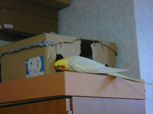 071107-70.jpg
