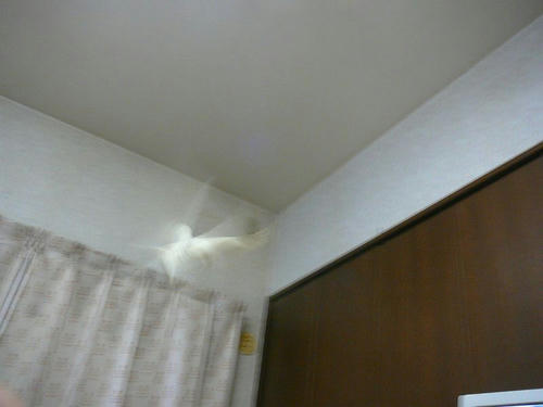 071112-80.jpg