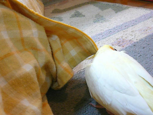 071114-50.jpg