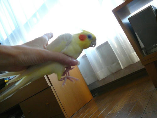071126-70.jpg