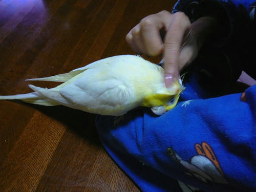 080109-90.jpg
