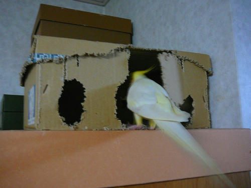 080113-90.jpg