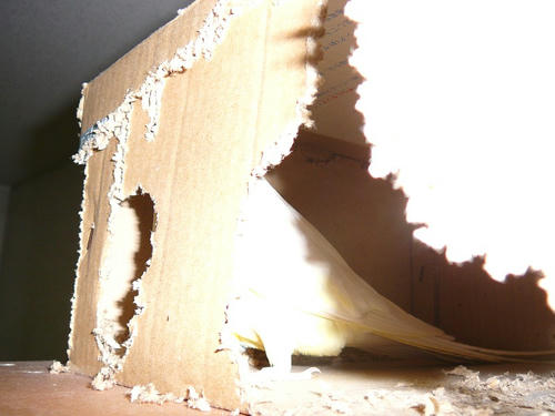 080113-60.jpg
