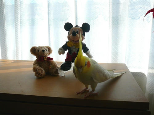 080114-60.jpg