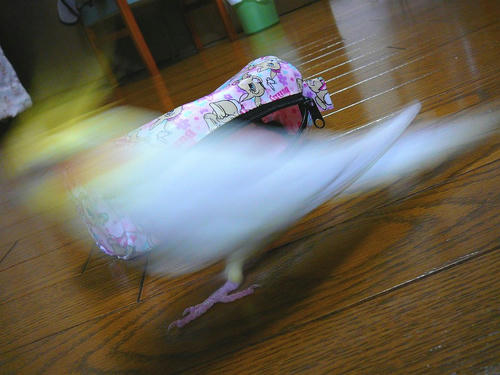 080128-80.jpg