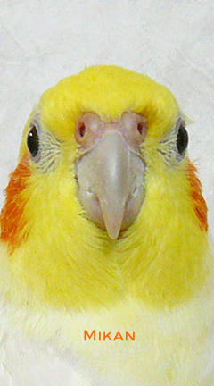080131-10.jpg