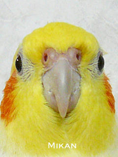 080131-20.jpg