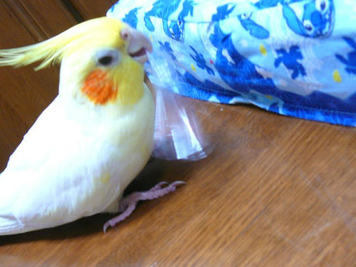 080204-80.jpg