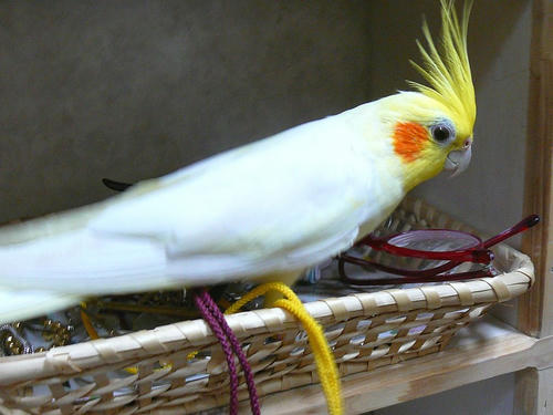 080204-60.jpg