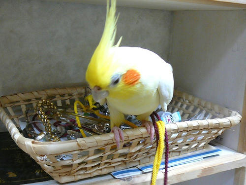 080204-50.jpg