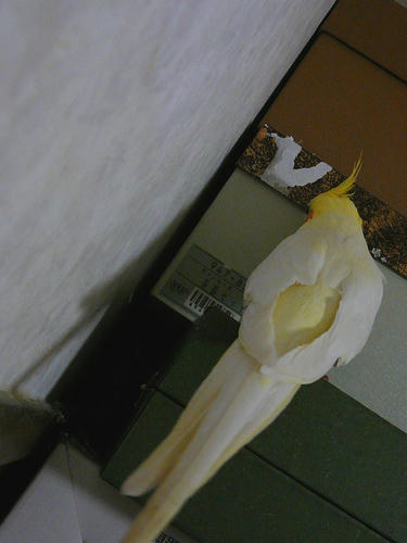 080211-70.jpg