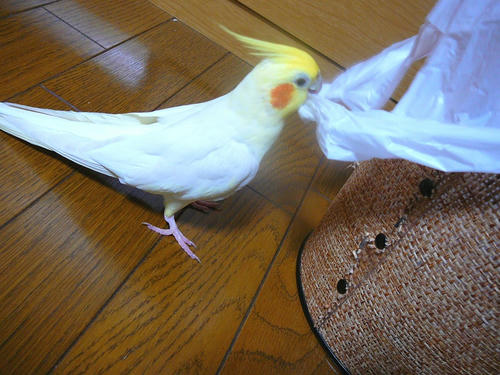 080211-60.jpg
