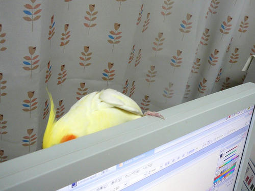 080212-60.jpg