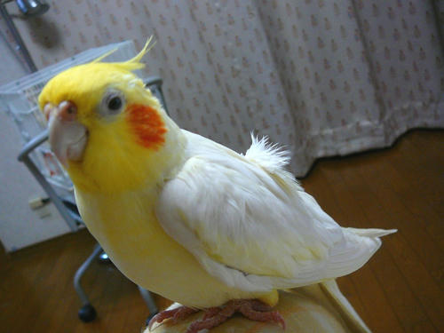 080214-90.jpg