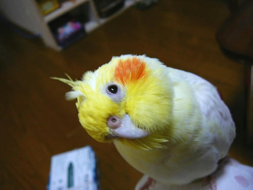080214-70.jpg