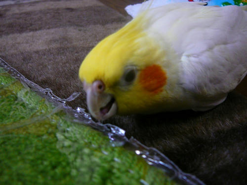 080216-80.jpg