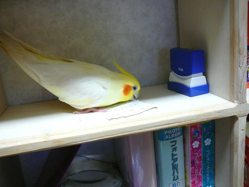 080218-90.jpg