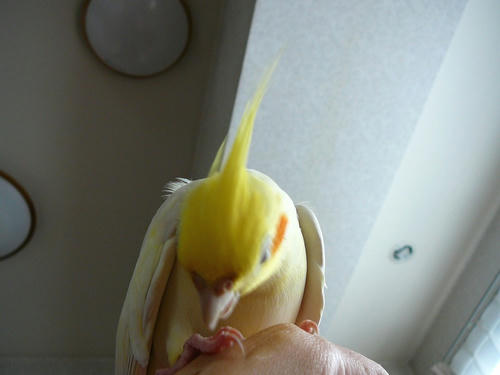 080220-70.jpg