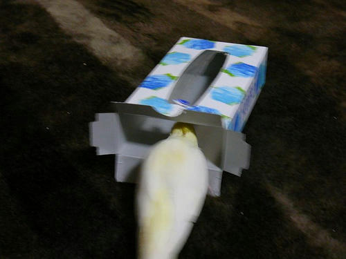 080303-70.jpg