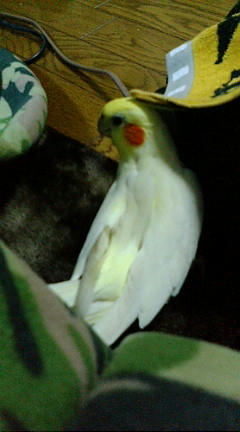 20080306193705.jpg