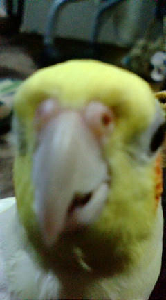 20080306193900.jpg