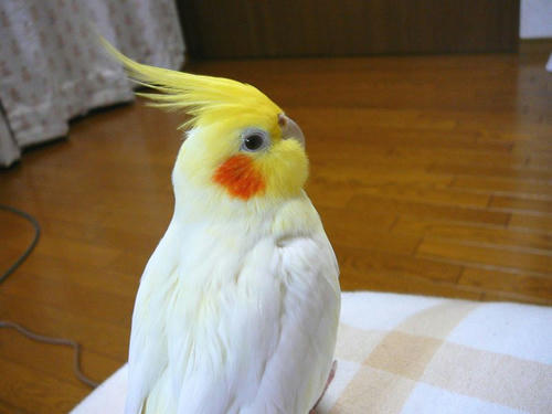 080309-90.jpg