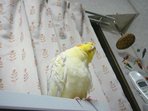 080309-80.jpg