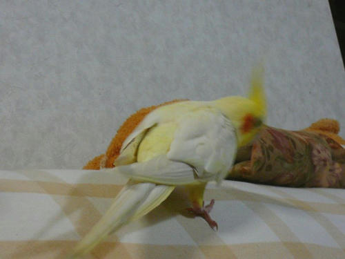 080310-90.jpg