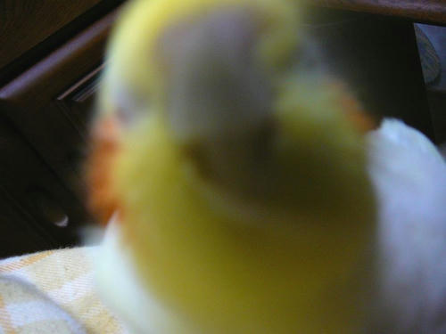 080317-80.jpg