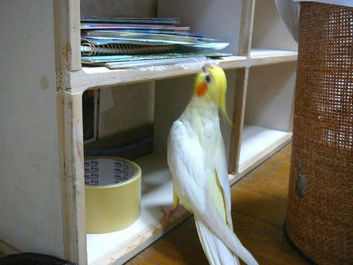 080323-90.jpg